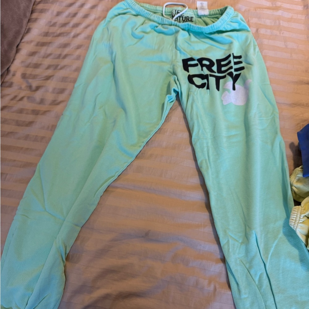 Free City sweatpants. Barely worn. Mint green. Size XL